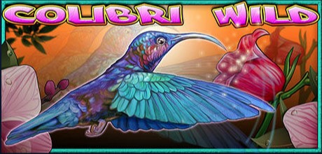 COLIBRI WILD