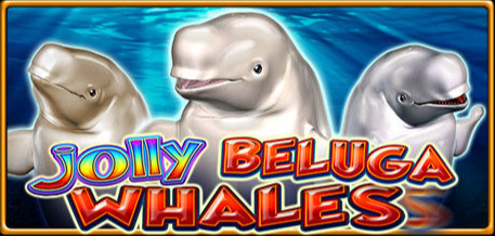 JOLLY BELUGA WHALES
